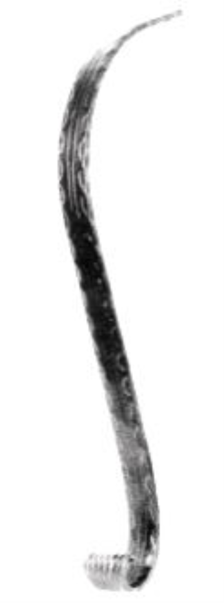 NR 5027